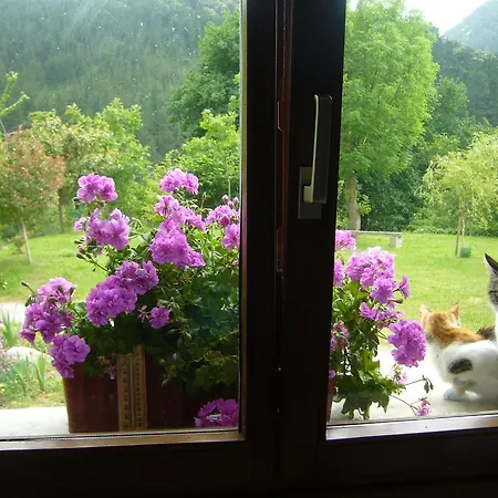 Mote בית נופש מוטריקו