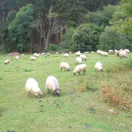 Mote בית נופש מוטריקו