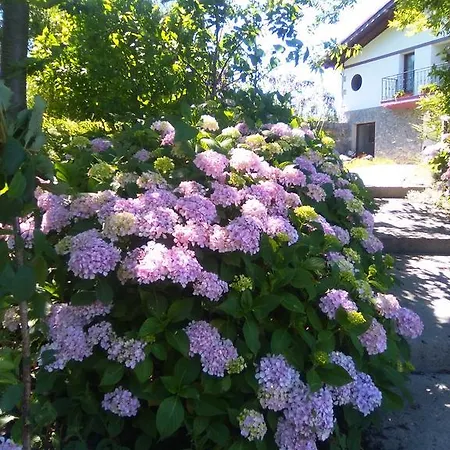 Mote * Mutriku