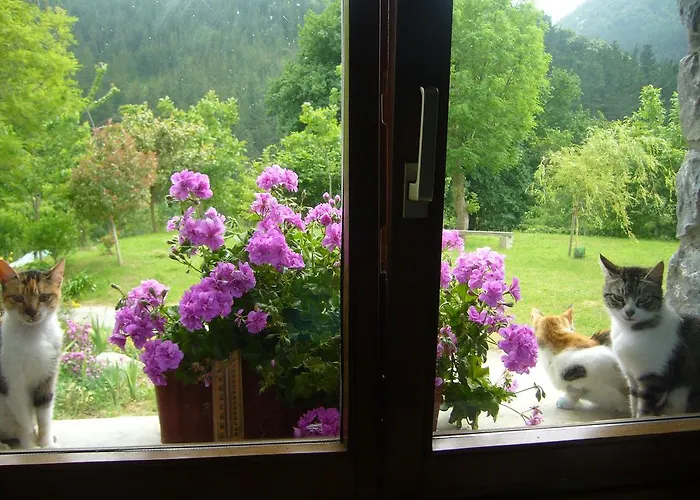 Mote Holiday home Mutriku