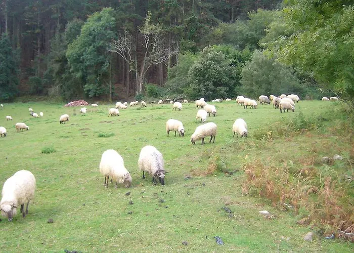 Mote 別荘 ムトリク