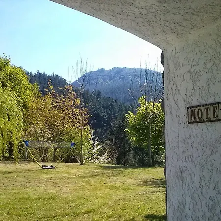 Mote